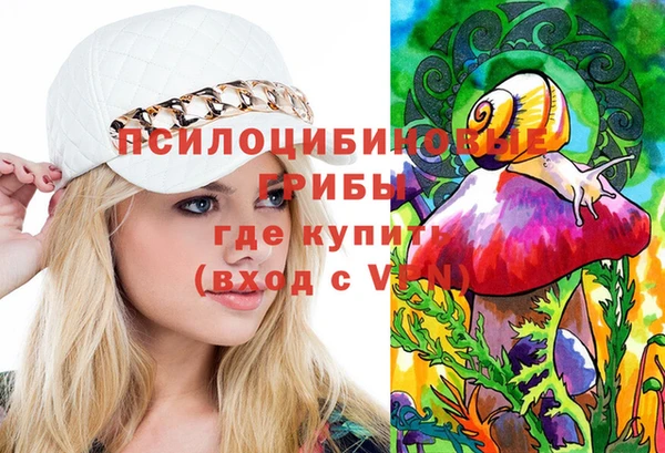 тгк Белокуриха