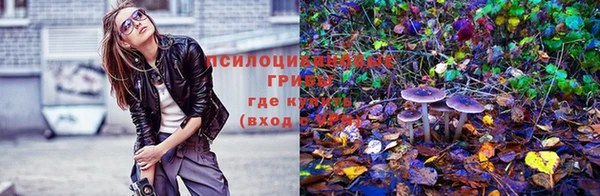 ECSTASY Белоозёрский