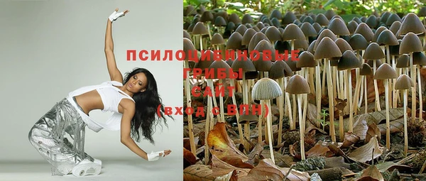 тгк Белокуриха