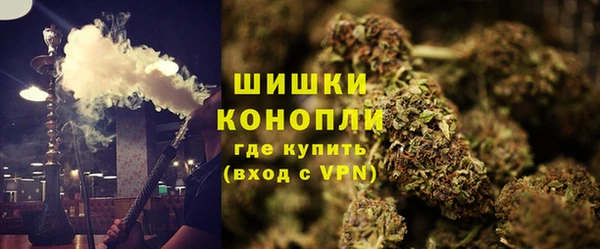 тгк Белокуриха